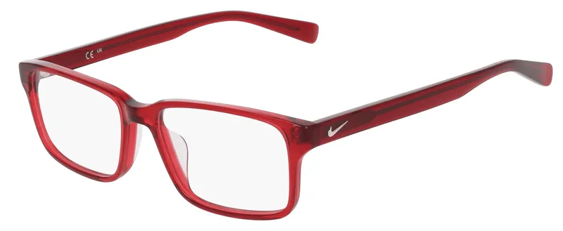 Nike 1001C Glasses Smoke