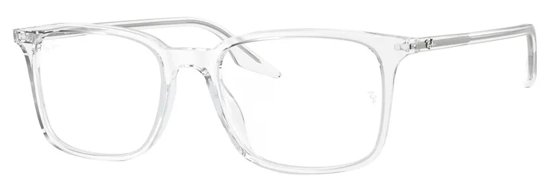 Ray Ban RB5421 Optics