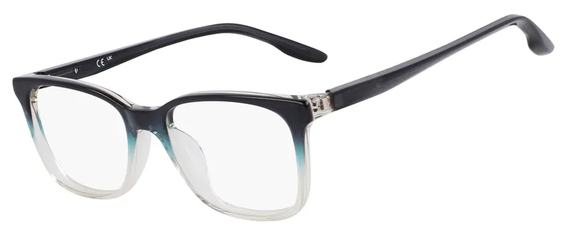 Nike 5054 Glasses Plum Gradient