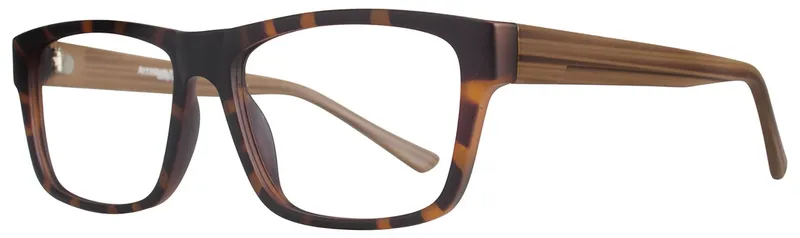 Affordable Designs Jack Tortoise