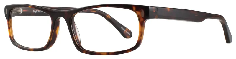 Eight to Eighty Tim Tortoise