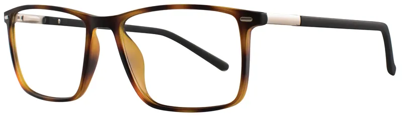 Eight to Eighty Gary Tortoise