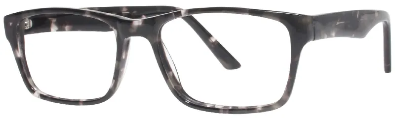 Eight to Eighty Dennis Tortoise