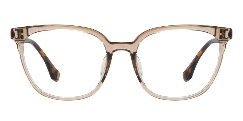 Raleigh Champagne/Tortoise