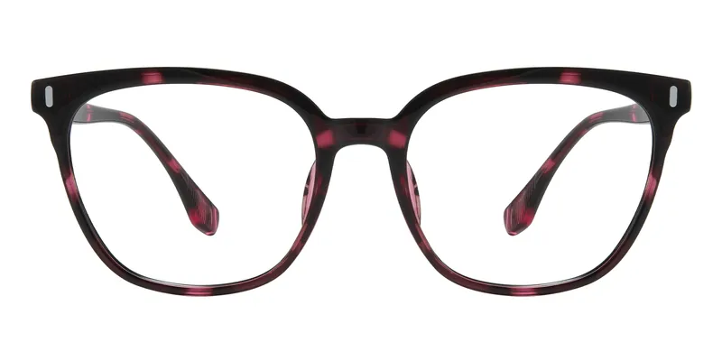 Raleigh Purple Tortoise