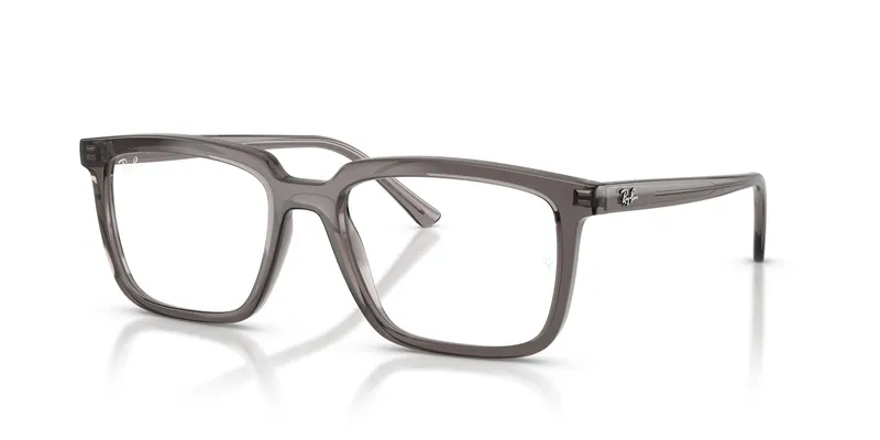 Ray-Ban Alain 7239F