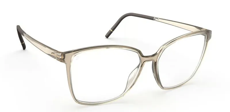 Silhouette Clear Sky 1621