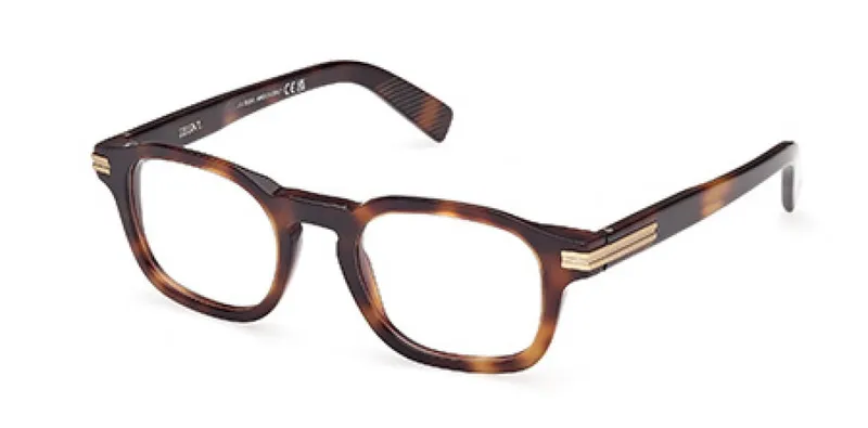 ZEGNA 5293