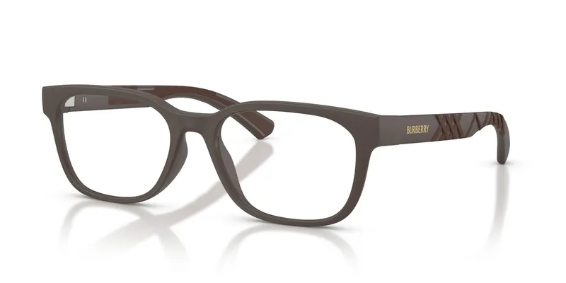 Burberry 2460D