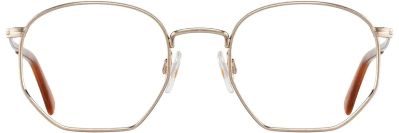 American Optical WESLEY