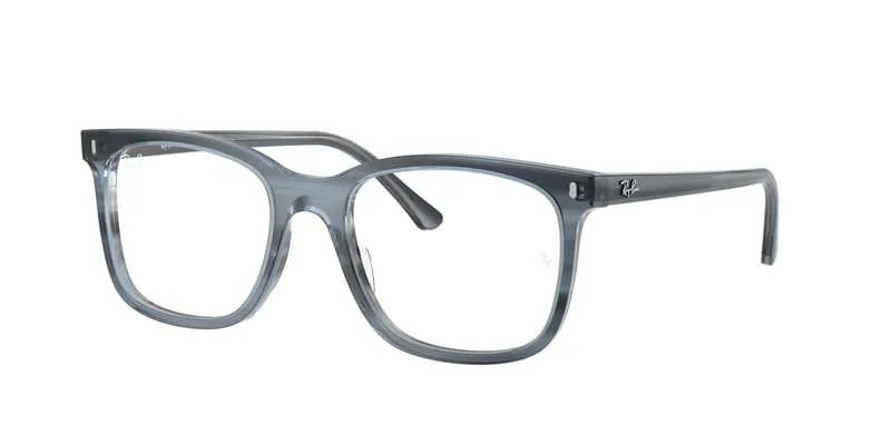 Ray-Ban 5446F
