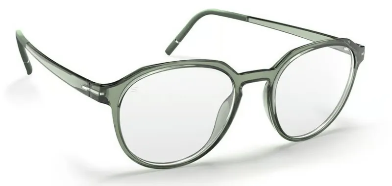 Silhouette Clear Sky 2981