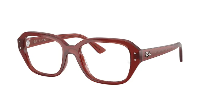 Ray-Ban Shea 7258F