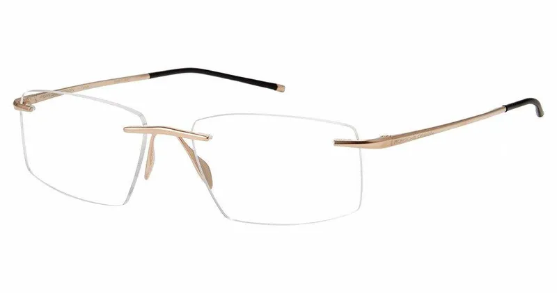 Porsche Design P8362