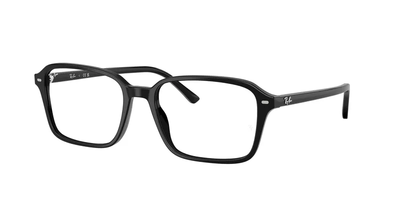 Ray-Ban Raimond 5431F
