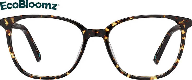 Square Eyeglasses