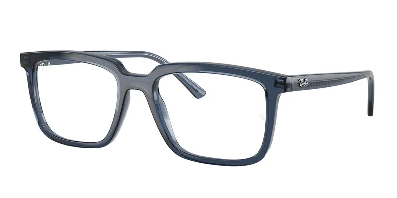 Ray-Ban RX7239 Alain