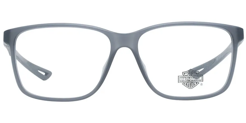 Harley Davidson HD0879