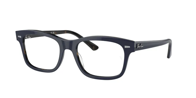 Ray-Ban Mr Burbank 5383