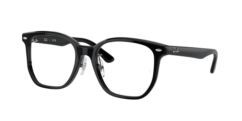 Ray-Ban 5425D