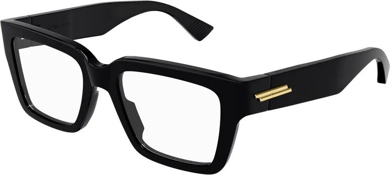 Bottega Veneta Unapologetic BV1153O